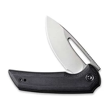 CIVIVI Odium Small Folding Knife –2.65" Black Stonewashed D2 blade, G10 Handle, Ball Bearings Pivot, Flipper Opening Knife with Reversible Deep Carry Clip C2010D (Black)