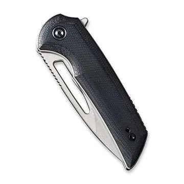 CIVIVI Odium Small Folding Knife –2.65" Black Stonewashed D2 blade, G10 Handle, Ball Bearings Pivot, Flipper Opening Knife with Reversible Deep Carry Clip C2010D (Black)