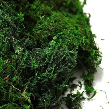 Byher Preserved Forest Moss, Fresh Green for Crafts & Decor