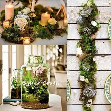 Byher Preserved Forest Moss, Fresh Green for Crafts & Decor