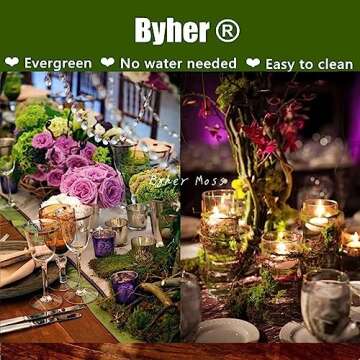 Byher Preserved Forest Moss, Fresh Green for Crafts & Decor