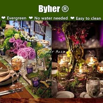 Byher Preserved Forest Moss, Fresh Green for Crafts & Decor