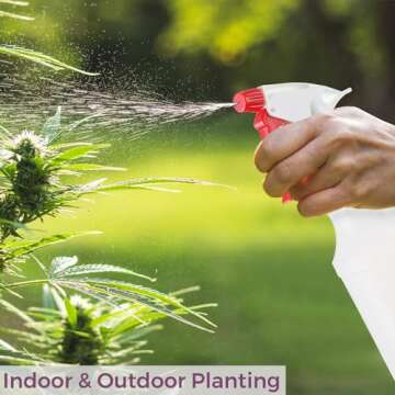 DilaBee Plastic Spray Bottle (2 Pack) - 16oz Empty Spray Bottles for Cleaning, Gardening & Grilling - Leakproof & Adjustable Nozzle Water Spray Bottle - Heavy Duty & BPA Free Plastic Spray Bottles