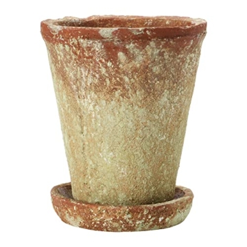 Creative Co-Op Cement Planter & Saucer Set, Rustic Style for Home Gardens