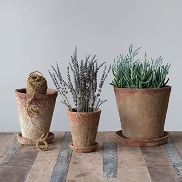 Creative Co-Op Rustic Cement Planter for Stylish Decor