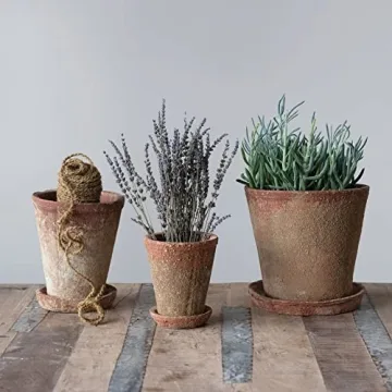 Creative Co-Op Rustic Cement Planter for Stylish Decor