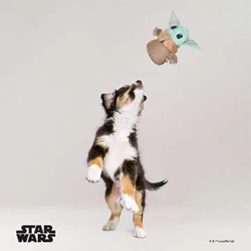 Mandalorian The Child Plush Dog Toy - Squeaky Fun!
