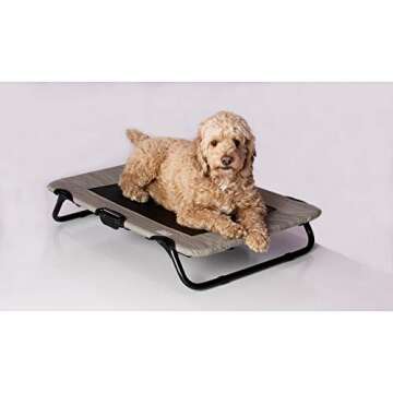Lifestyle Pet Cot Elevated Bed for Indoor & Outdoor Use