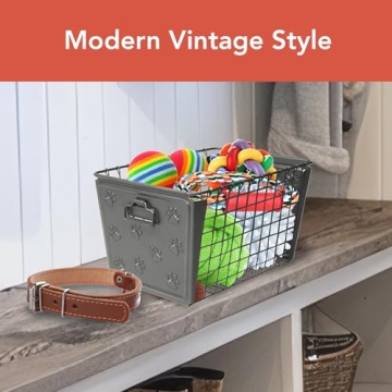 Spectrum Macklin Basket for Pet Toy Organization