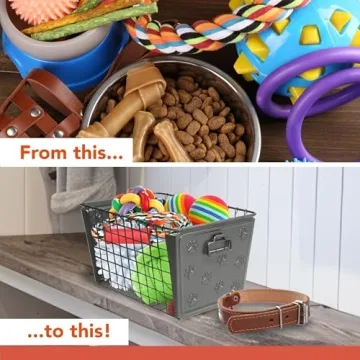 Spectrum Macklin Basket for Pet Toy Organization