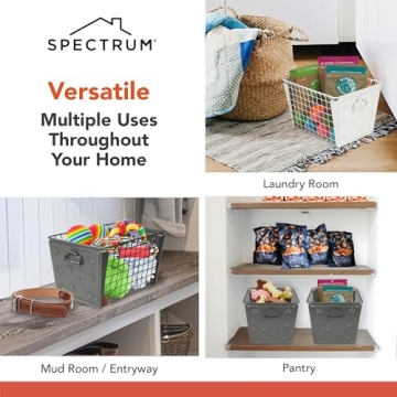 Spectrum Macklin Basket for Pet Toy Organization
