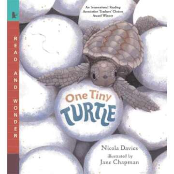 One Tiny Turtle: A Journey of Nature for Kids