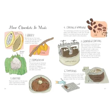 Food Anatomy Engaging Culinary Adventures for Kids