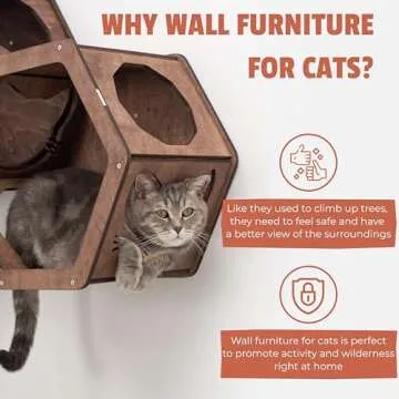 Stylish Wall Cat Shelves for Feline Friends and Home Decor
