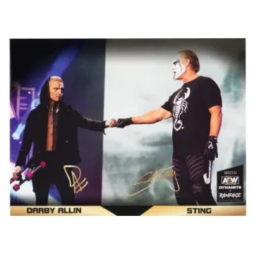 All Elite Wrestling Sting & Darby Action Figures Pack - Exclusive