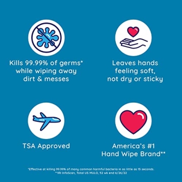 Wet Ones Antibacterial Hand Wipes for Travel & Home