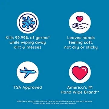 Wet Ones Antibacterial Hand Wipes for Travel & Home