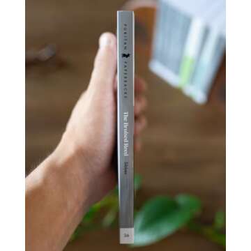 The Bruised Reed - A Journey Through Grace and Forgiveness