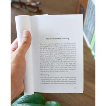 The Bruised Reed - A Journey Through Grace and Forgiveness