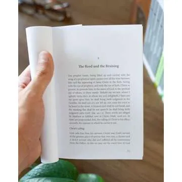 The Bruised Reed - A Journey Through Grace and Forgiveness