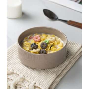 Famiware Nebula Plates and Bowls Set, 12 Pieces Dinnerware Sets, Dishes Set for 4, Cinnamon Brown