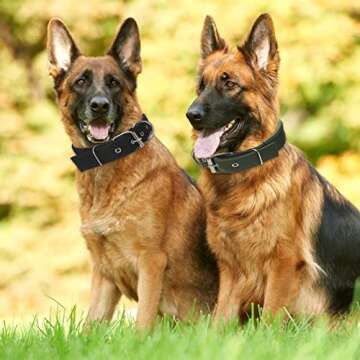 Kacctyen 8 Pcs Heavy Duty Tactical Dog Collar for Large Dog Military Dog Collar Adjustable Nylon Metal Buckle Martingale Collar for Training Walking Hunting (XL, 4 Colors)