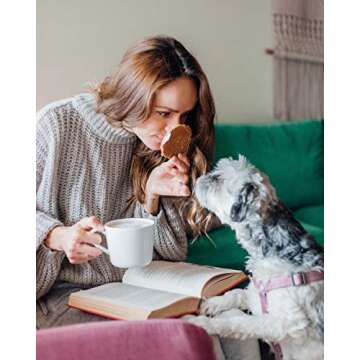 Sweet Amsterdam Stroopwafel Cookies | Gluten Free, Dairy Free, Non-GMO Waffle Snacks | Hand Made in USA Wafer Snacks | Caramel Cinnamon | 12-PACK