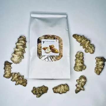 Purchase Jerusalem Artichoke Tubers for Your Garden