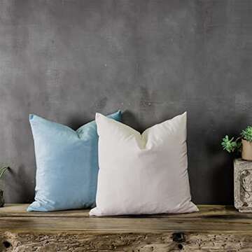 QUAFOO Cream White Couch Velvet Throw Pillow Covers 24x24 inch Set of 2 with Zipper Decorative Luxury Soft Solid Rectangle Cushion Covers Case for Sofa Bed Living Room Car