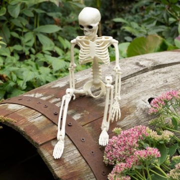 Realistic 16" Full Body Posable Skeleton for Halloween