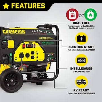 Champion 4750-Watt Dual Fuel Portable Generator