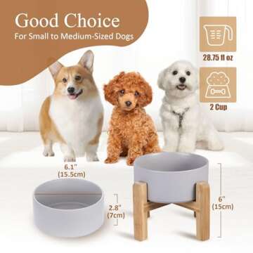 Grey Ceramic Elevated Raised Dog Bowls - Dog Food Dish with Stand - Double Raised Dog Food and Water...