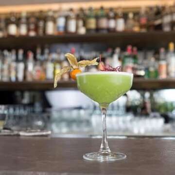 HISTORY COMPANY New York Party of the Century Classic Cocktail Coupe Glass 2-Piece Set Inspired by the 1966 Black and White Ball (Gift Box Collection)