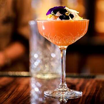 HISTORY COMPANY New York Party of the Century Classic Cocktail Coupe Glass 2-Piece Set Inspired by the 1966 Black and White Ball (Gift Box Collection)