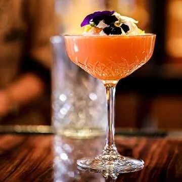 HISTORY COMPANY New York Party of the Century Classic Cocktail Coupe Glass 2-Piece Set Inspired by the 1966 Black and White Ball (Gift Box Collection)