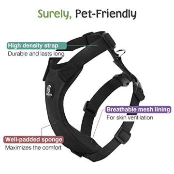 VavoPaw Dog Car Harness for Safety and Comfort