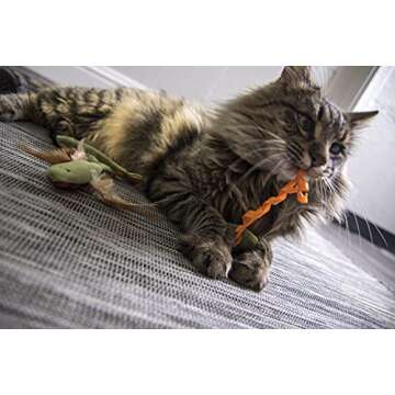 SmartyKat (3 Count Fish Friends Crinkle Catnip Cat Toys - Multi Color, 3 Count