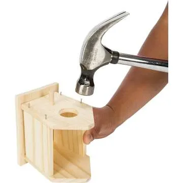 DIY Birdhouse Kit for Kids - Toysmith Beetle & Bee