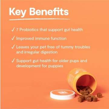 Open Farm Probiotic Chews, Dog Supplement, Dog Vitamins, Supports Normal Flora and Bowel Movement Using Traceable and Vet-Approved Ingredients, 12.7 oz, 90 Count
