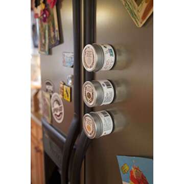 French Onion Seasoning | Authentic Artisanal Spice Mix | All Natural, Non GMO | Hand Crafted, Small Batch | Made in USA | Ultra Premium, Sustainably Sourced Spices | GLP-1 Friendly Seasoning | No MSG | Magnetic Tin | Gustus Vitae | #26