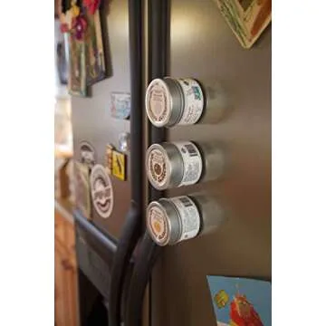 French Onion Seasoning | Authentic Artisanal Spice Mix | All Natural, Non GMO | Hand Crafted, Small Batch | Made in USA | Ultra Premium, Sustainably Sourced Spices | GLP-1 Friendly Seasoning | No MSG | Magnetic Tin | Gustus Vitae | #26