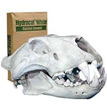 Hydrocal Plaster for Scenery, Dioramas, Dentistry and Mold Casting Plaster Resealable Bag Great for ...