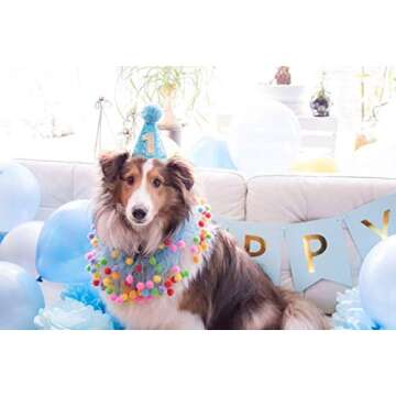 Buy PET SHOW Blue Small Dog Birthday Party Hat for Pets