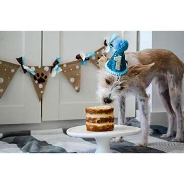 Buy PET SHOW Blue Small Dog Birthday Party Hat for Pets