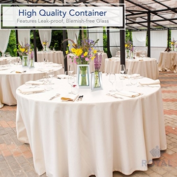 Elegant 10" Royal Imports Mirror Glass Flower Vase