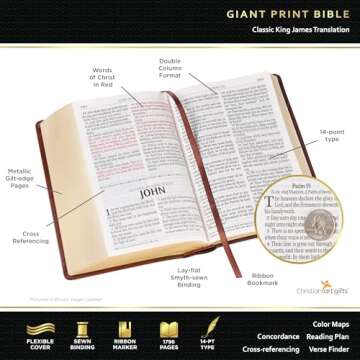 KJV Holy Bible, Giant Print Standard Size Faux Leather Red Letter Edition - Ribbon Marker, King James Version, Burgundy/Pink