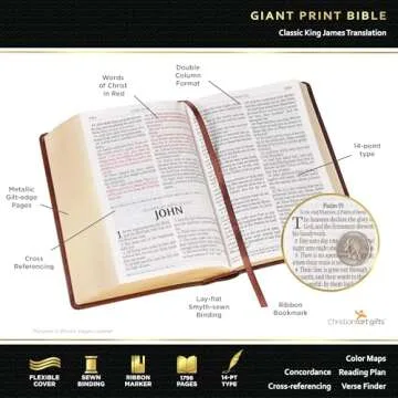 KJV Holy Bible, Giant Print Standard Size Faux Leather Red Letter Edition - Ribbon Marker, King James Version, Burgundy/Pink