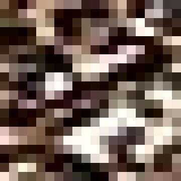 SheIn Women's Sexy Sleeveless Leopard Print Strappy Bustier Cami Bodycon Dress Leopard Large