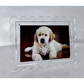 Elegant 5x7 Scalloped Acrylic Photo Frames 2-Pack