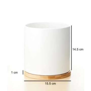 1pc - 6 Inch Indoor Outdoor Planter- Porcelain Ceramic Plant Pot with Drain Hole and Bamboo Tray (White), 6INCHPOT